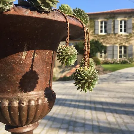 Maison Gascony