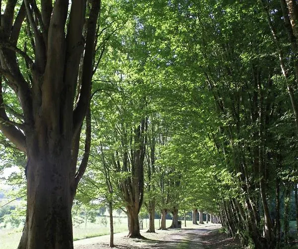 Maison Gascony Vendégház L'Isle-de-Noe