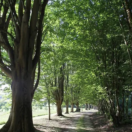 Maison Gascony Maison d'hôtes L'Isle-de-Noe